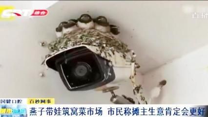 水族馆生意不好（探讨水族馆生意不佳的原因） 水族馆百科（水族馆加盟） 第5张