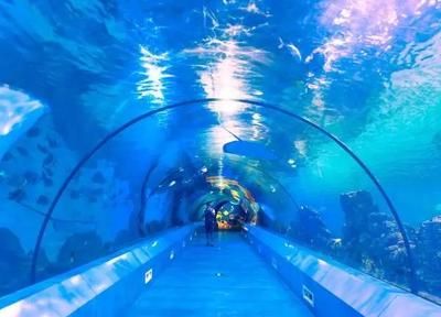 水族馆生意不好（探讨水族馆生意不佳的原因） 水族馆百科（水族馆加盟） 第4张