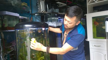 水族馆生意不好（探讨水族馆生意不佳的原因） 水族馆百科（水族馆加盟） 第3张