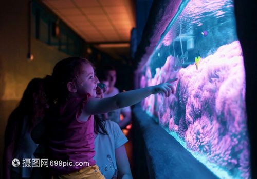 水族馆多大带去看有意义（带孩子参观水族馆是一个寓教于乐的活动） 水族馆百科（水族馆加盟） 第2张