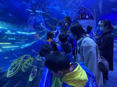 水族馆多大带去看有意义（带孩子参观水族馆是一个寓教于乐的活动） 水族馆百科（水族馆加盟） 第3张