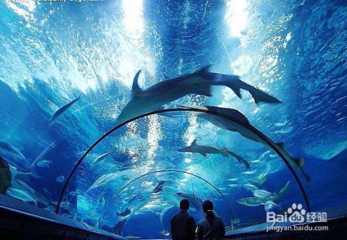 水族馆怎么经营书店赚钱（水族馆书店如何经营书店赚钱，水族馆书店营销策略案例） 水族馆百科（水族馆加盟） 第3张