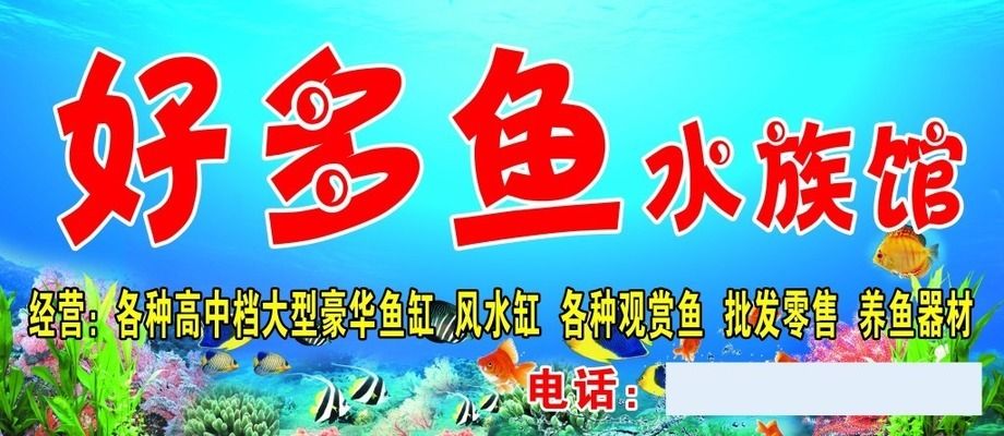 水族馆牌子图片高清（水族馆图标、水族馆logo、水族馆门头样式图片信息） 水族馆百科（水族馆加盟） 第4张