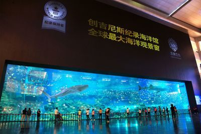 水族馆要办什么执照（开设水族馆所需的主要执照和证件） 水族馆百科（水族馆加盟） 第5张