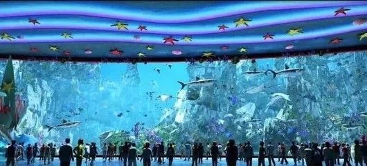 水族馆门面图片真实（水族馆门面图片的制作过程） 水族馆百科（水族馆加盟） 第4张