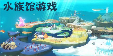 梦幻水族馆游戏（《梦幻水族馆》最新关卡攻略） 水族馆百科（水族馆加盟） 第1张