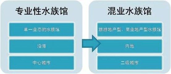 水族馆盈利模式有哪些类型（上海水族馆的盈利模式） 水族馆百科（水族馆加盟） 第5张