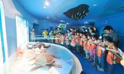 水族馆的名字大全（全球各地的水族馆及其名称） 水族馆百科（水族馆加盟） 第4张