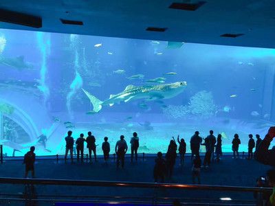 水族馆的名字大全（全球各地的水族馆及其名称） 水族馆百科（水族馆加盟） 第1张