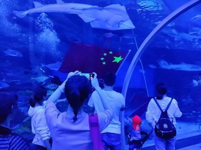 水族馆馆长收入（水族馆馆长的收入受多种因素影响水族馆馆长的收入受多种影响） 水族馆百科（水族馆加盟） 第1张