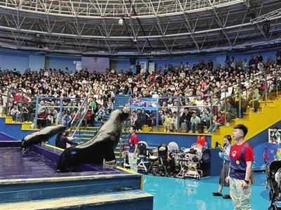 水族馆馆长收入（水族馆馆长的收入受多种因素影响水族馆馆长的收入受多种影响） 水族馆百科（水族馆加盟） 第5张