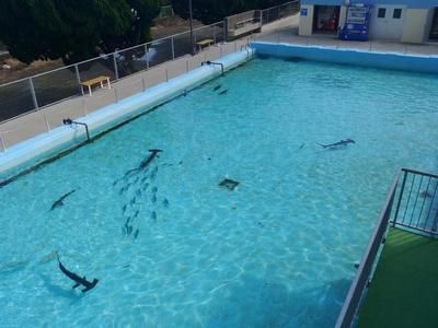 水族馆怎么经营赚钱（水族馆商品销售策略优化水族馆餐饮服务创新方法） 水族馆百科（水族馆加盟） 第1张