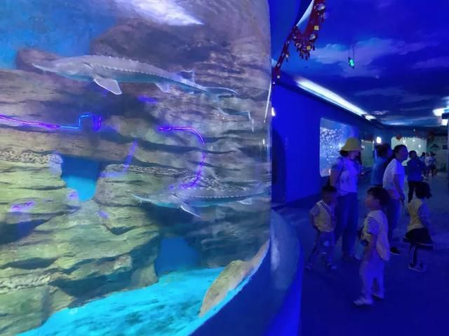 水族馆游玩评价语（关于水族馆游玩评价语的详细信息） 水族馆百科（水族馆加盟） 第5张