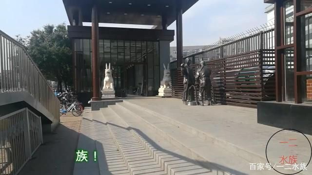 水族馆开业做什么活动赚钱呢（小金鱼养殖个性化服务案例水族馆特色海鲜产品介绍） 水族馆百科（水族馆加盟） 第1张