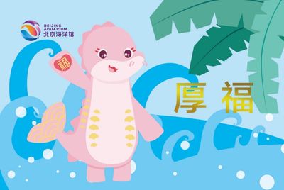 水族馆 排名（夷亚龙湾海底漫步的水族馆）