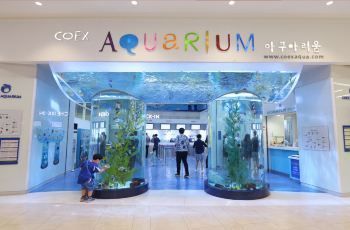 水族馆门票图片（上海水族馆门票价格） 水族馆百科（水族馆加盟） 第3张