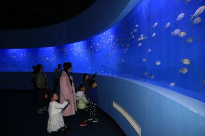 水族馆前景（水族馆前景分析） 水族馆百科（水族馆加盟） 第5张