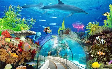 水族馆前景（水族馆前景分析） 水族馆百科（水族馆加盟） 第3张