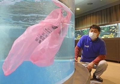 做水族馆能赚钱吗现在（水族馆如何盈利） 水族馆百科（水族馆加盟） 第4张