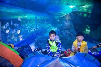 水族馆搭建（关于水族馆搭建的详情） 水族馆百科（水族馆加盟） 第5张