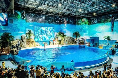 水族馆搭建（关于水族馆搭建的详情） 水族馆百科（水族馆加盟） 第2张