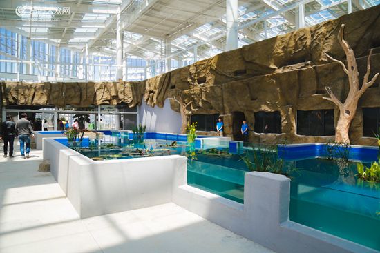 水族馆店铺照片大全（水族馆店铺照片大全东南亚风格水族馆装修特点） 水族馆百科（水族馆加盟） 第1张