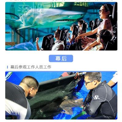 水族馆工作怎么样（水族馆工作需要具备哪些技能） 水族馆百科（水族馆加盟） 第4张