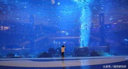 水族馆开在什么地方合适呢（哈密水族馆的选址应考虑交通便利性、周边环境以及成本效益） 水族馆百科（水族馆加盟） 第2张