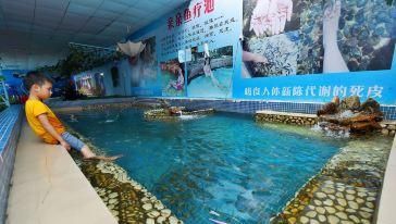 游戏 水族馆 捉鱼（《水族馆》游戏介绍） 水族馆百科（水族馆加盟） 第1张