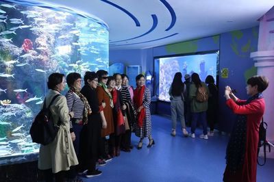 水族馆投资大概多少钱一个月呢（水族馆投资成本） 水族馆百科（水族馆加盟） 第3张