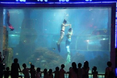 水族馆投资大概多少钱一个月呢（水族馆投资成本） 水族馆百科（水族馆加盟） 第5张