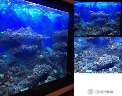 水族馆鱼缸厂家地址（多个水族馆鱼缸厂家的详细地址） 水族馆百科（水族馆加盟） 第5张