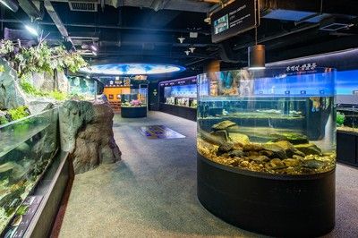 水族馆门面图片大全（水族馆门面图片大全大全） 水族馆百科（水族馆加盟） 第4张