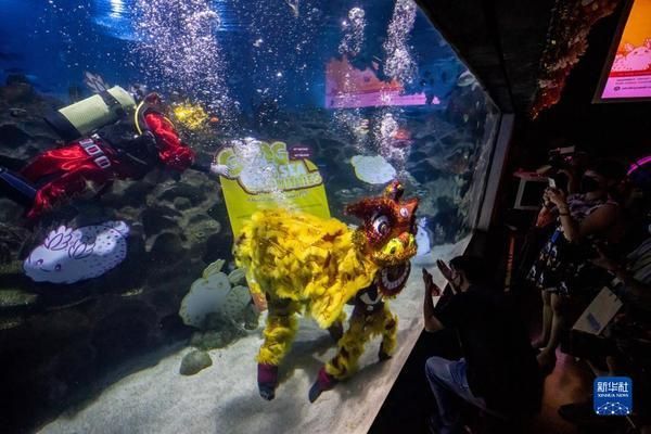 水族馆开业活动（关于水族馆开业活动的一些详细信息） 水族馆百科（水族馆加盟） 第3张