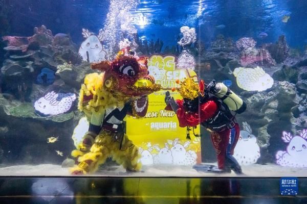 水族馆开业活动（关于水族馆开业活动的一些详细信息） 水族馆百科（水族馆加盟） 第1张