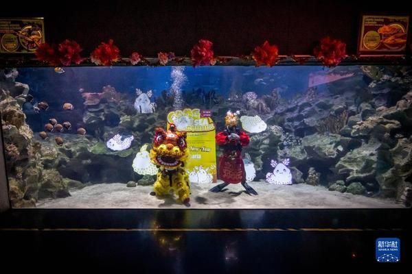 水族馆开业活动（关于水族馆开业活动的一些详细信息） 水族馆百科（水族馆加盟） 第4张