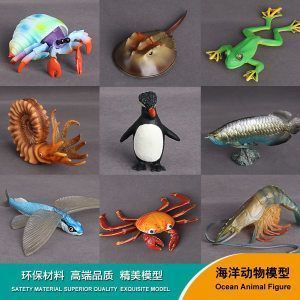 水族馆有什么动物介绍（上海海洋水族馆中常见的海洋哺乳动物、哺乳动物、哺乳动物介绍） 水族馆百科（水族馆加盟） 第1张