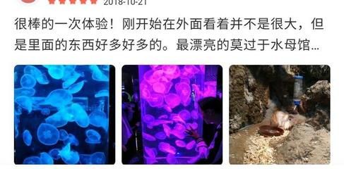 水族馆能干嘛（水族馆是一个展示和研究水下生物的场所，水族馆如何提升环保意识） 水族馆百科（水族馆加盟） 第1张