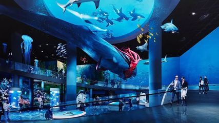 上海海洋水族馆好玩吗值得去吗（上海海洋水族馆亲子活动安排） 水族馆百科（水族馆加盟） 第4张