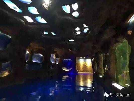 水族馆项目概述怎么写（水族馆科普教育活动案例：水族馆项目概述详情撰写方法） 水族馆百科（水族馆加盟） 第2张