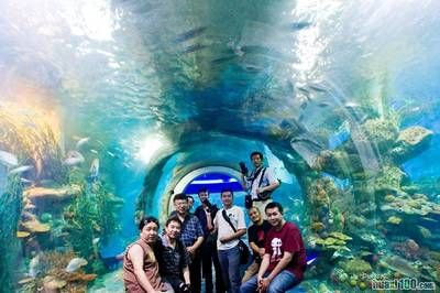 想开一家水族馆（如何成功开设一家水族馆市场调研水族馆市场的成功要素） 水族馆百科（水族馆加盟） 第1张