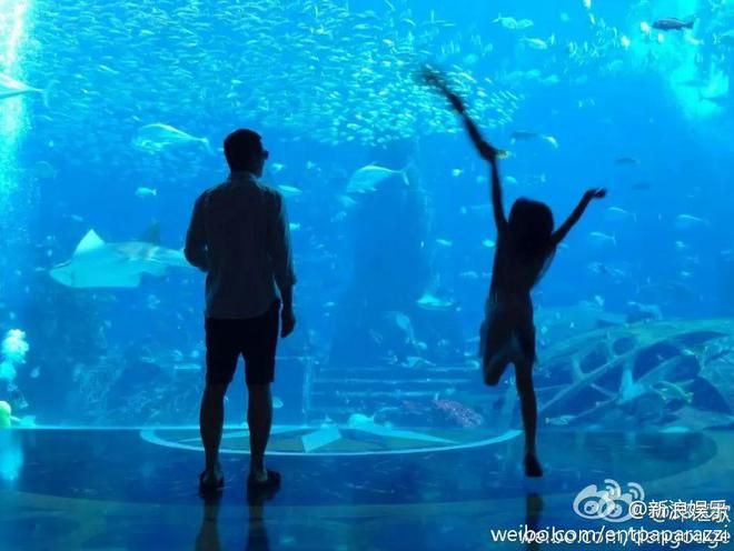 想开一家水族馆（如何成功开设一家水族馆市场调研水族馆市场的成功要素） 水族馆百科（水族馆加盟） 第2张