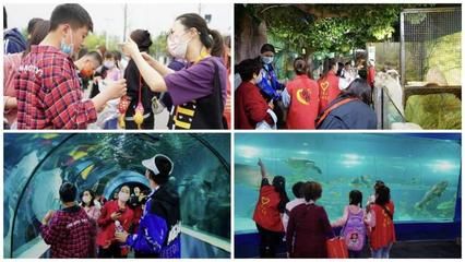 想开一家水族馆（如何成功开设一家水族馆市场调研水族馆市场的成功要素） 水族馆百科（水族馆加盟） 第3张