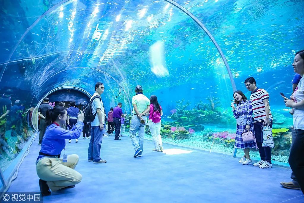 水族馆属于什么行业（2021-2026年中国水族馆行业投资回报率分析） 水族馆百科（水族馆加盟） 第5张