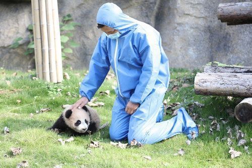 水族馆一般多少钱一个月收入（小型水族馆的收入来源） 水族馆百科（水族馆加盟） 第2张