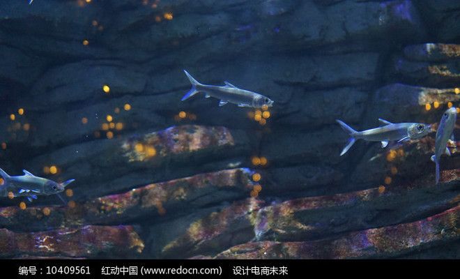 水族馆门面图片高清（水族馆门头照明效果展示） 水族馆百科（水族馆加盟） 第3张