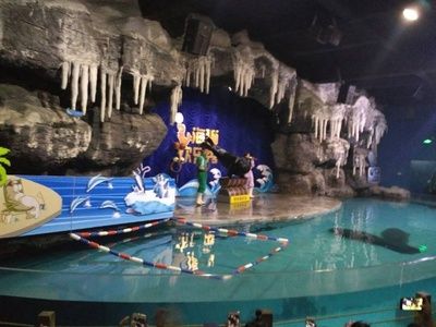 水族馆定制（北京水族馆定制） 水族馆百科（水族馆加盟） 第1张