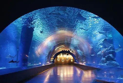 世界著名水族馆（世界著名水族馆介绍） 水族馆百科（水族馆加盟） 第3张