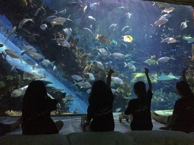 开一家水族馆做什么准备好（开一家水族馆需要准备什么） 水族馆百科（水族馆加盟） 第5张