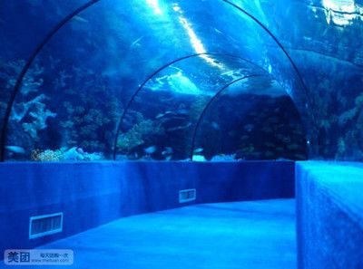 水族馆哪里的比较好（上海海洋水族馆） 水族馆百科（水族馆加盟） 第4张